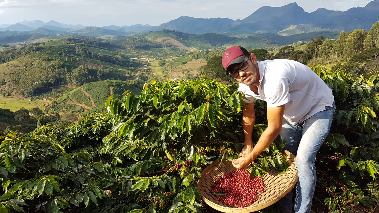 Deivison Welques Pereira overlooking his farm.