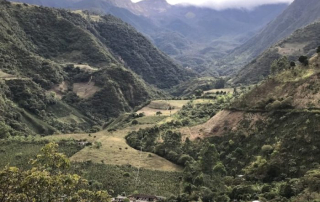 Narino, Colombia, coffee farms