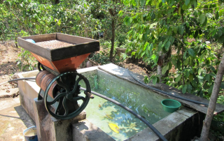 Huehuetenango micro mill.