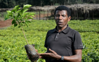 Olympic athlete and coffee farmer Haile Gebrselassie.