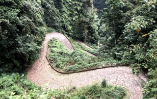 El Caracol, the road to Muxbal Estate.