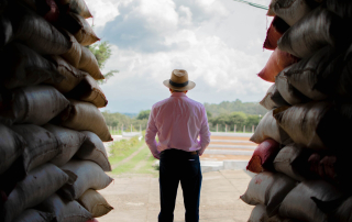 Guatemala El Santo stacked at Los Santos farm