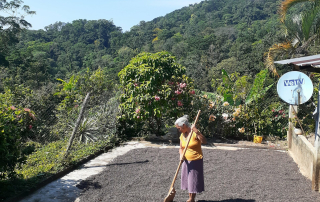 Drying Mexico FEDECOS FTO