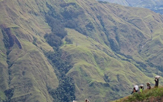 Smallholders carrying their coffee harvest