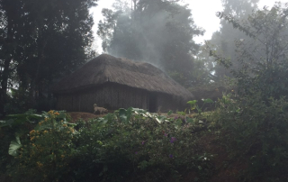 Papua New Guinea Homestead