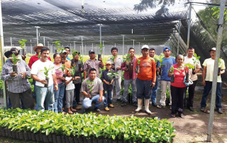 Mexico Nubes de Oro Fairtrade Organic nursery