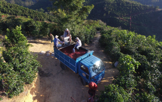 Truckload of cherry heading to Beneficio Palmichal.