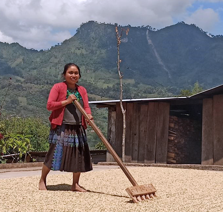 NKG Bloom producer raking a patio of drying coffee.