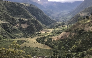 Coffee farms on the mountainsides of a valley in Colombia.
