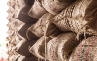 stacks of green coffee in jute bags