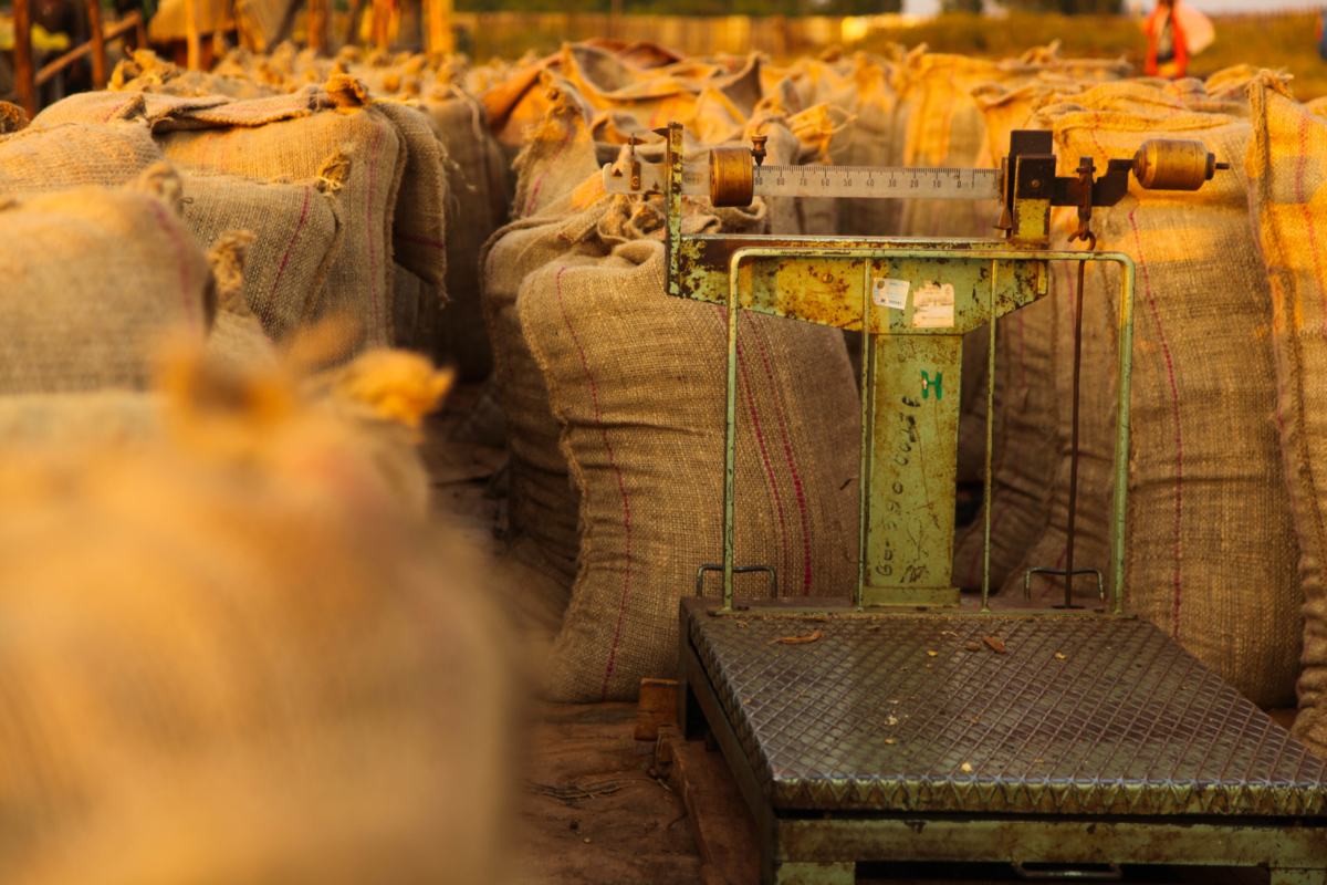 Coffe bags in warehouse