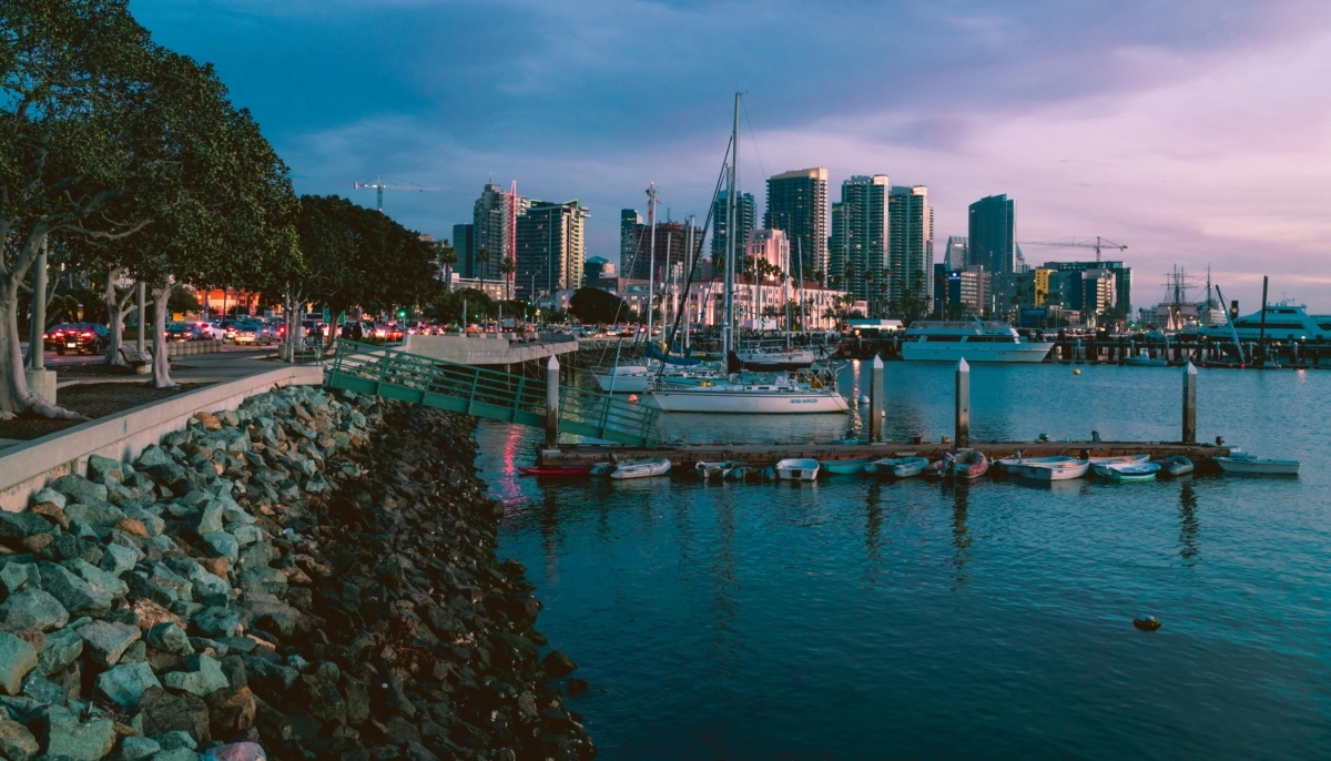 pexels-lucasfonseca-2157685 (2)