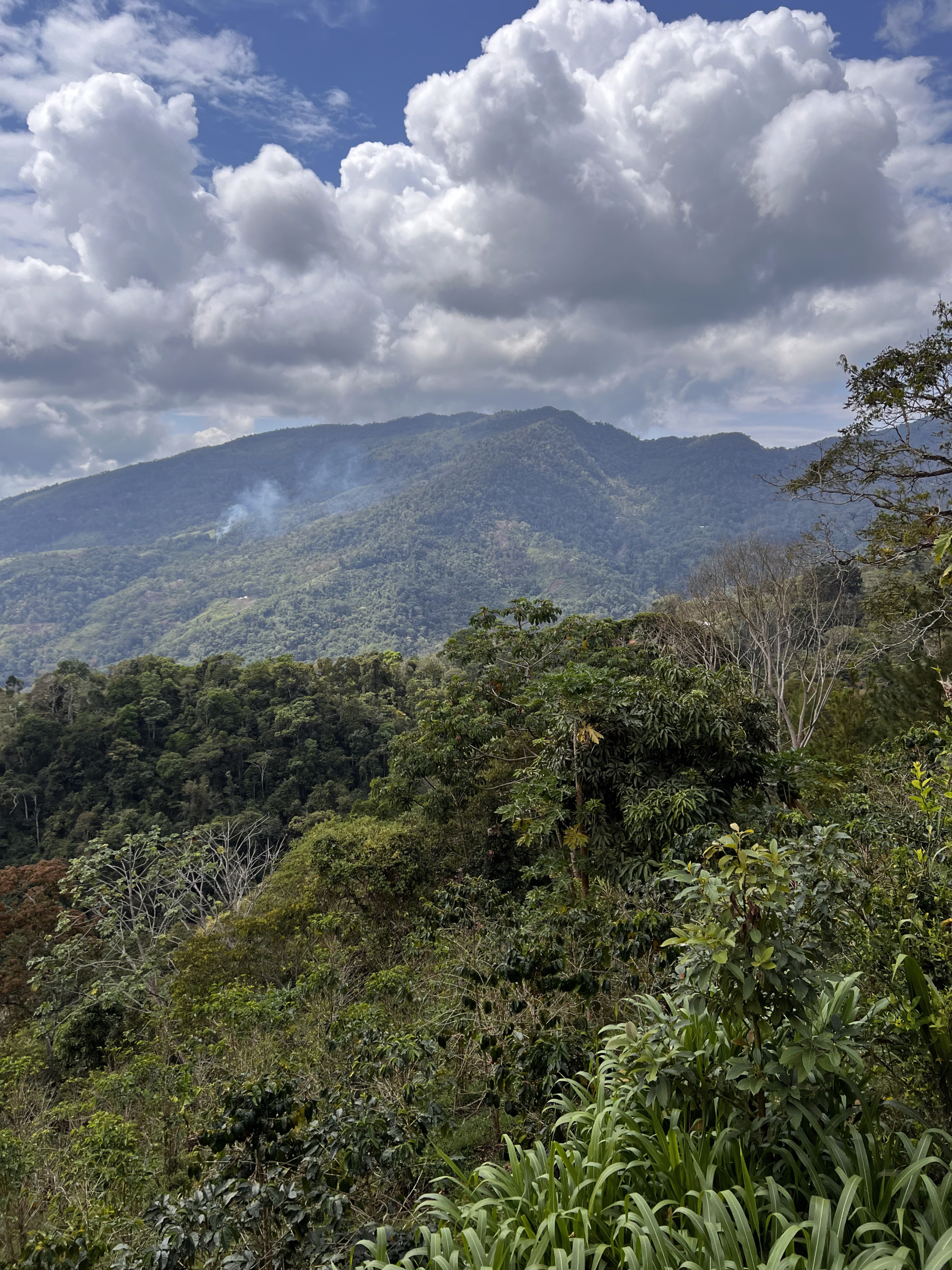 Peru landscape